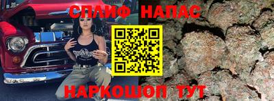 индика Малгобек