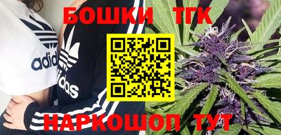 индика Малгобек