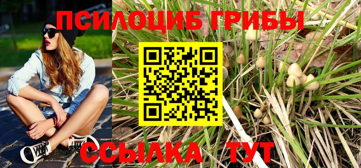 Галлюциногенные грибы MAGIC MUSHROOMS Губкин